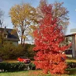 Am Rimbach Apartamento Suhl