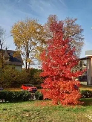 Am Rimbach Lejlighed Suhl